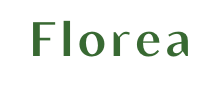 Florea